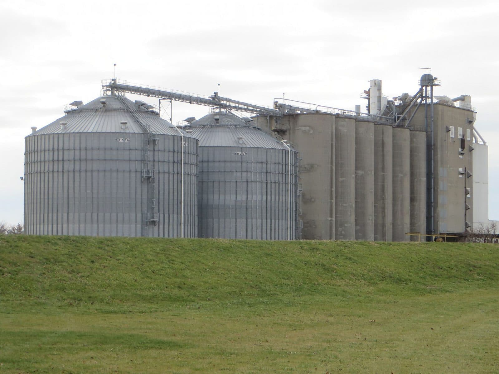 Grain silos and milling plant under an open sky